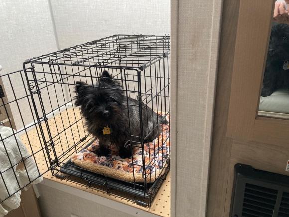Cairn in Wire Crate